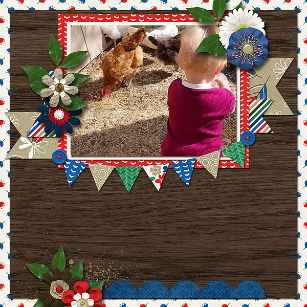 Feeding Chickens