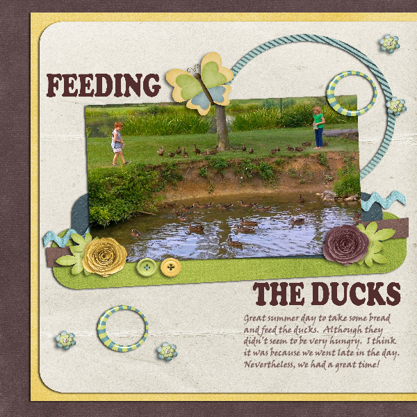 Feeding Ducks