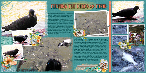 Feeding Fish and Fowl