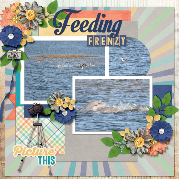 Feeding Frenzy Lt