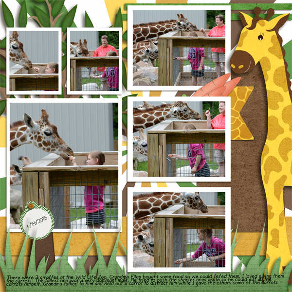 Feeding Giraffe
