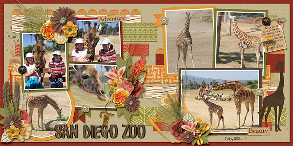 Feeding Giraffes