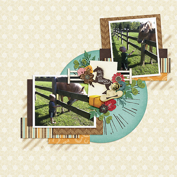 Feeding Horses
