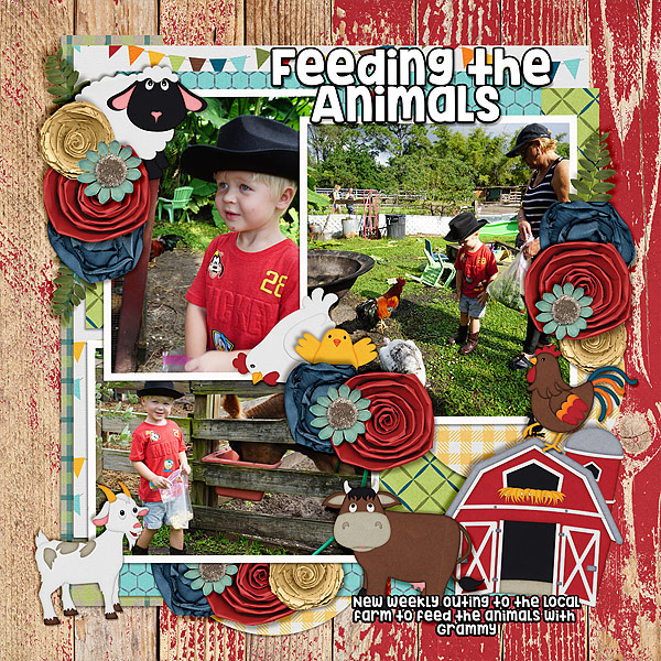 feeding-the-animals-1st-visit