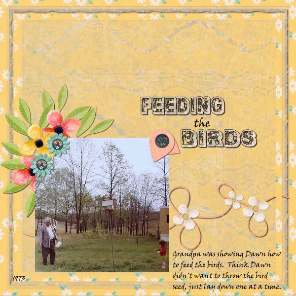Feeding The Birds