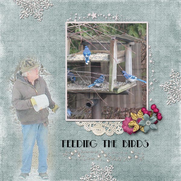 Feeding the Birds