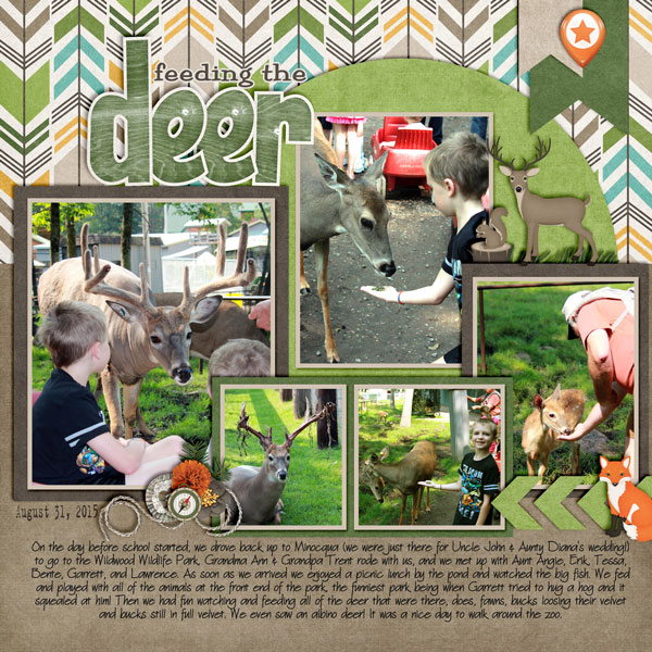 feeding the deer