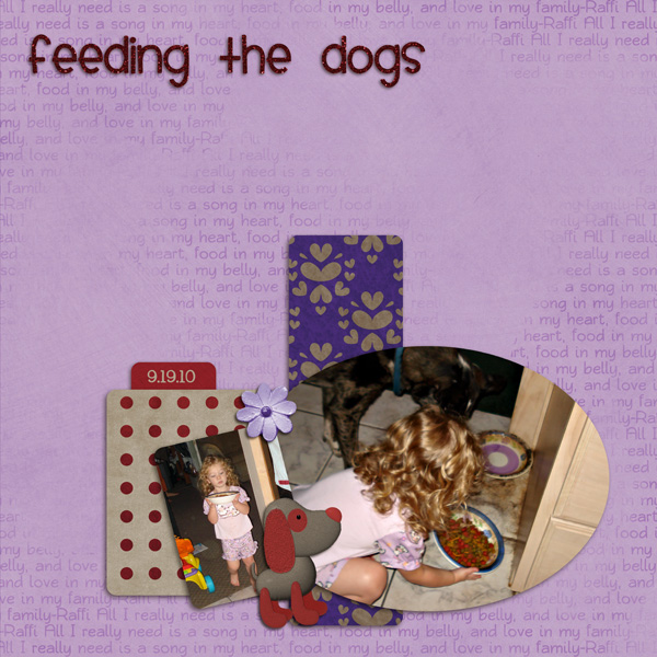 Feeding the Dogs