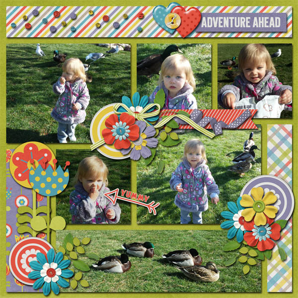 feeding the ducks 2