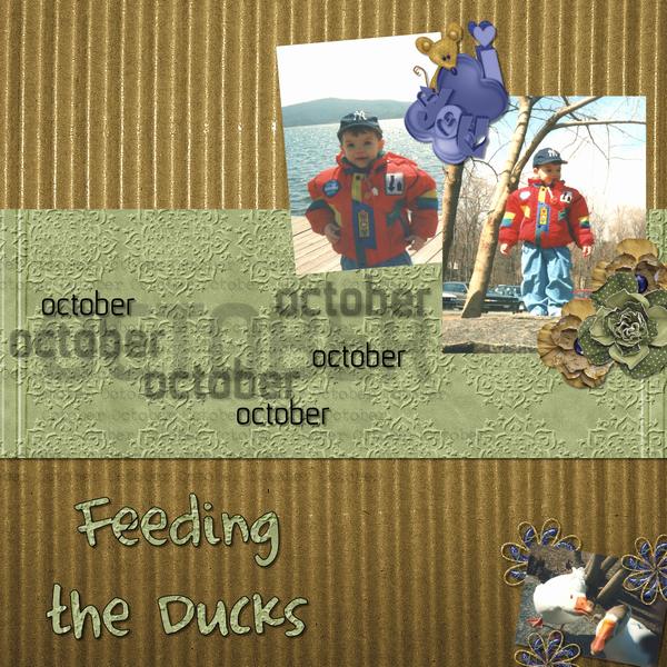 Feeding the Ducks