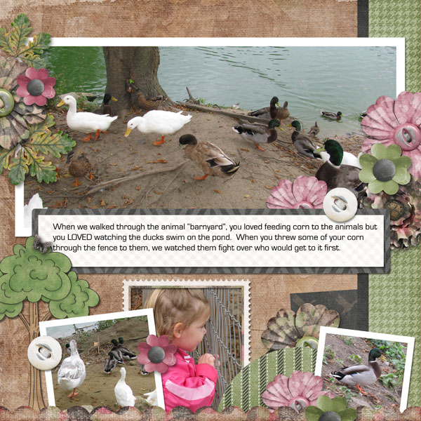 Feeding the ducks