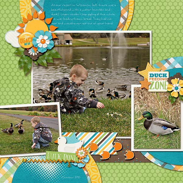Feeding the Ducks