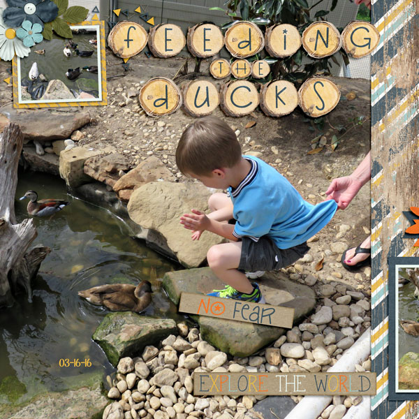 Feeding the Ducks