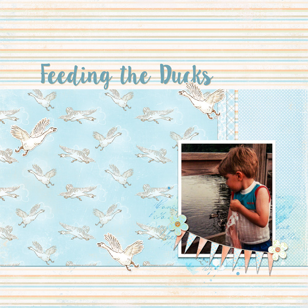 Feeding the Ducks