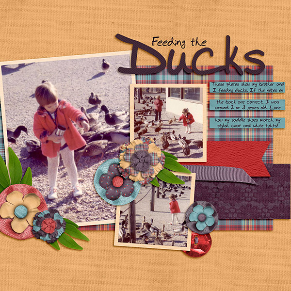 Feeding the Ducks