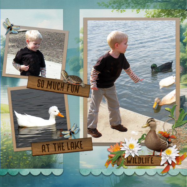 Feeding the Ducks