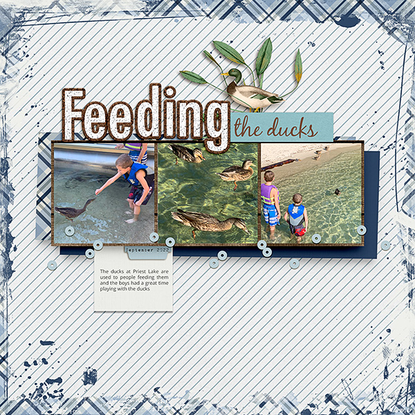 Feeding-the-Ducks