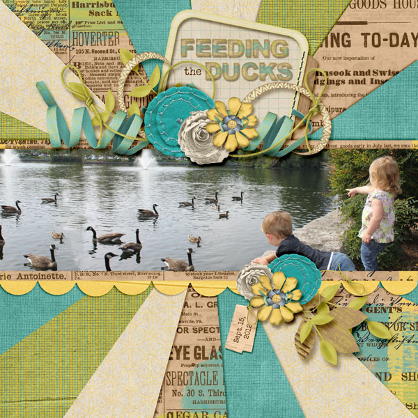 Feeding the Ducks