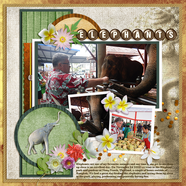 Feeding the Elephants