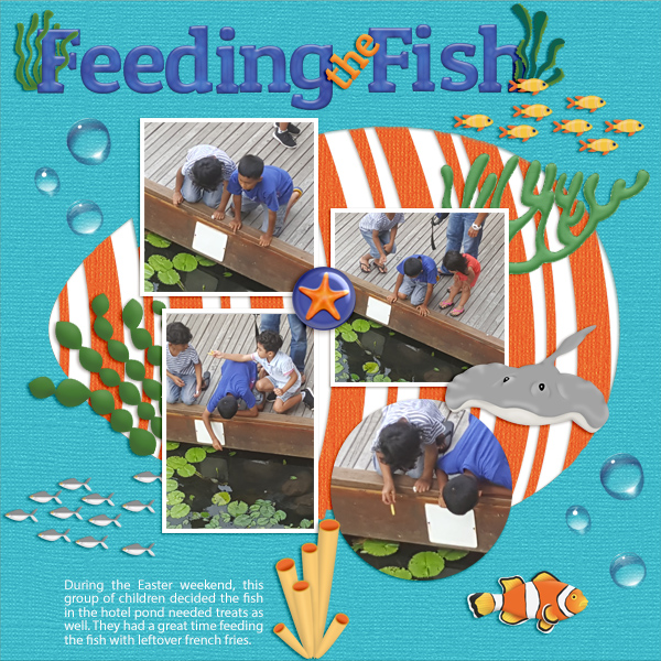 Feeding the Fish