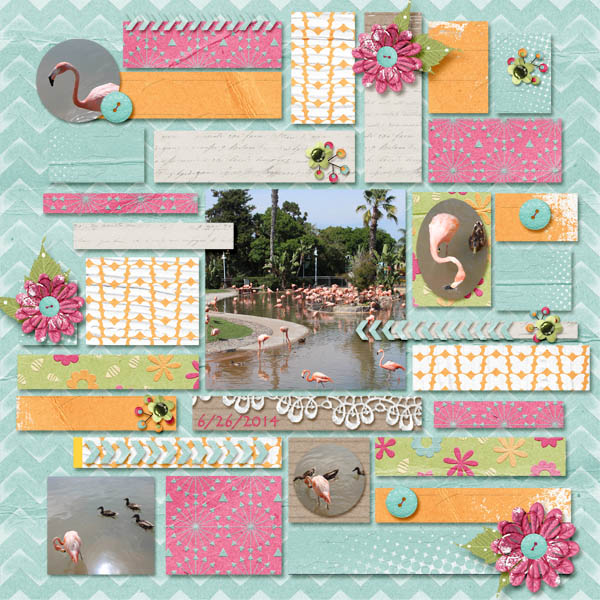 Feeding the Flamingos 1