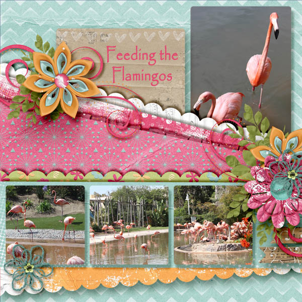Feeding the Flamingos 2