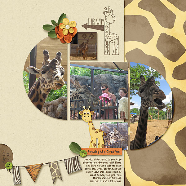 Feeding the Giraffes