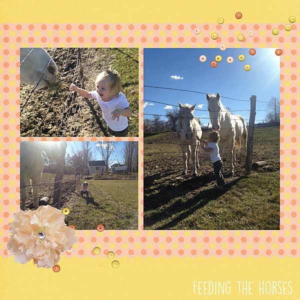 Feeding the Horses
