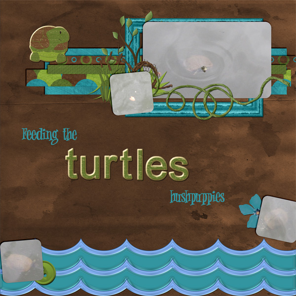 Feeding the turtles