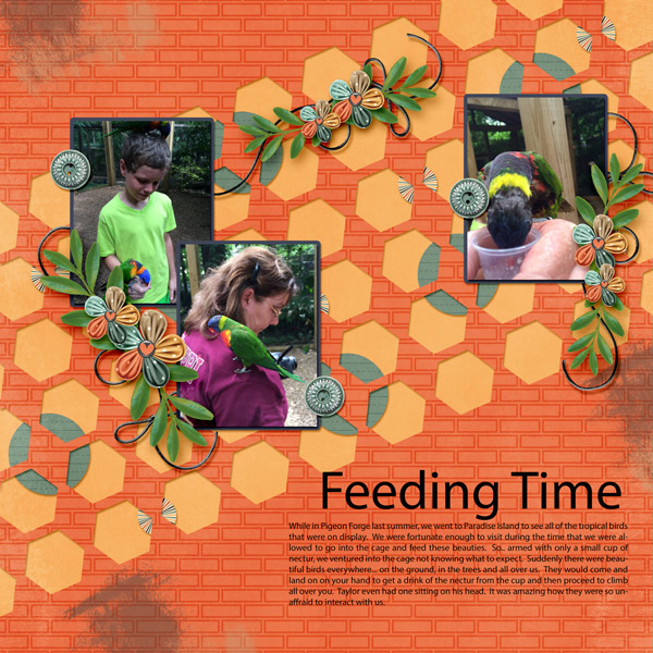 Feeding Time