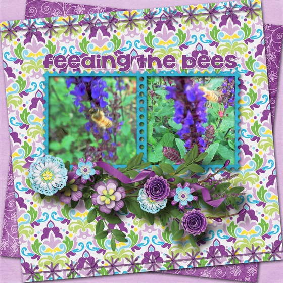 Feeding_the_bees