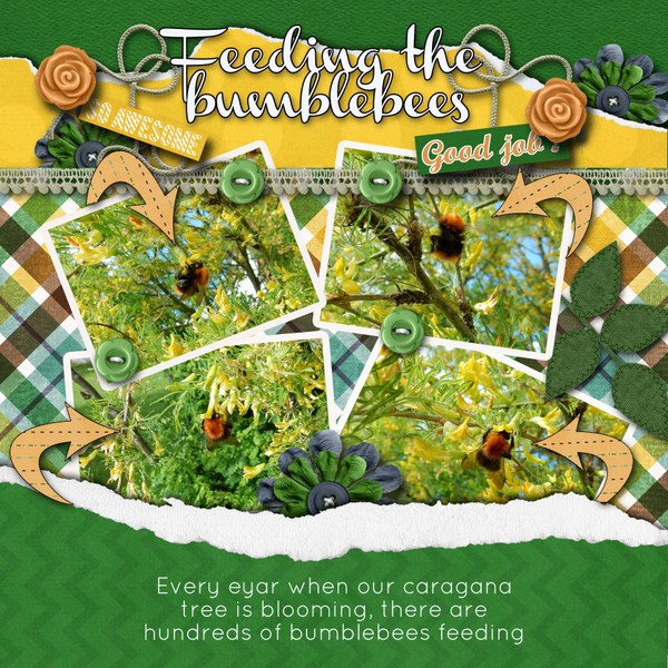 Feeding_the_bumblebees