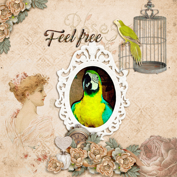 Feel-free2