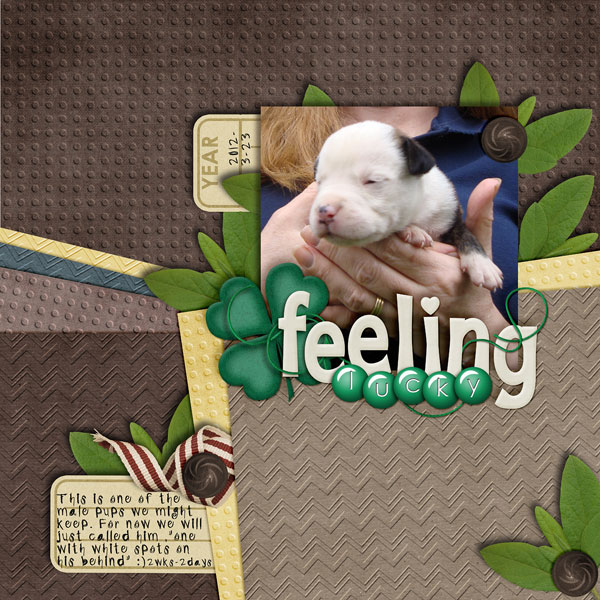 Feeling Lucky Puppy