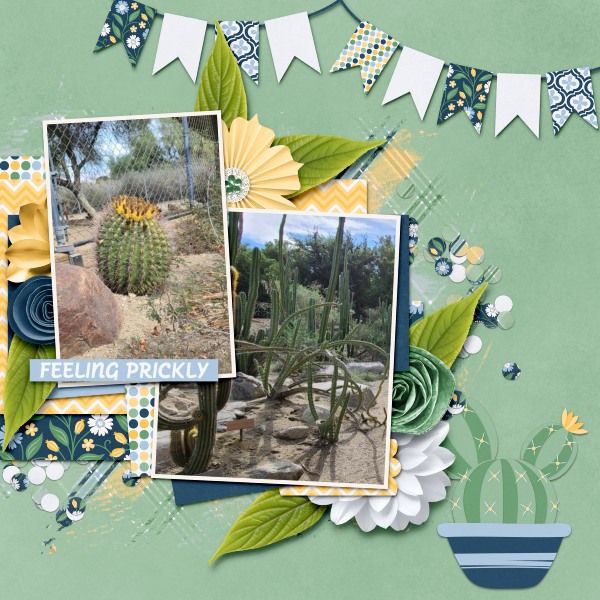 Feeling Prickly