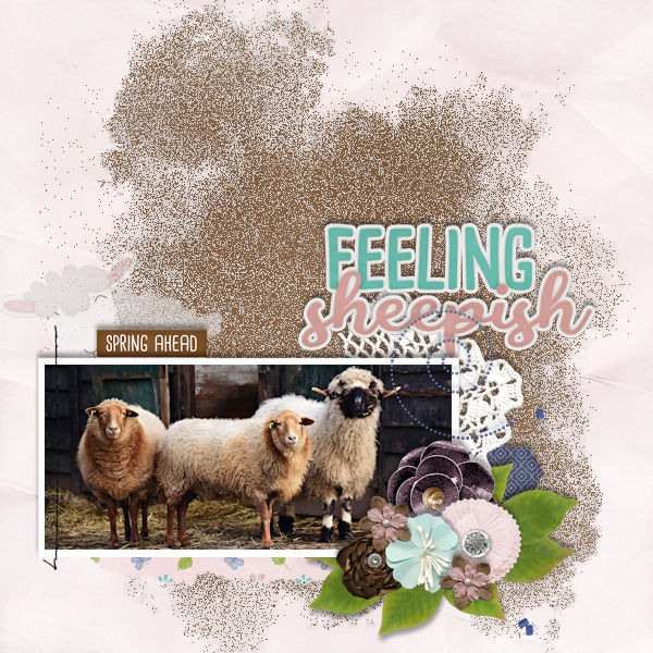 Feeling Sheepish