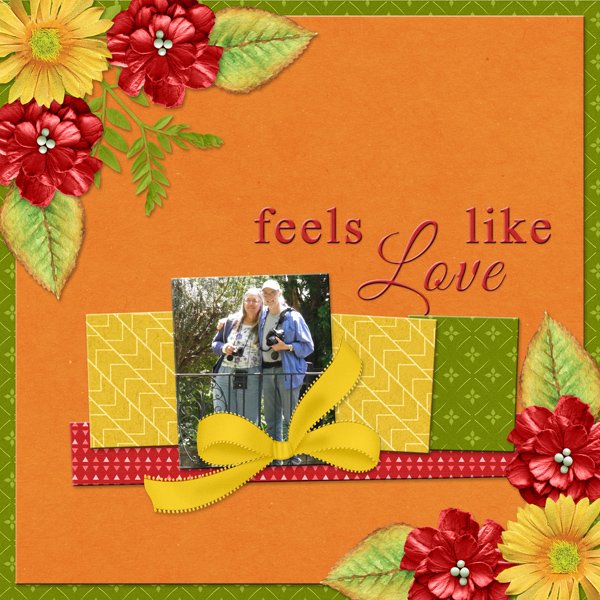 Feels Like  Love
