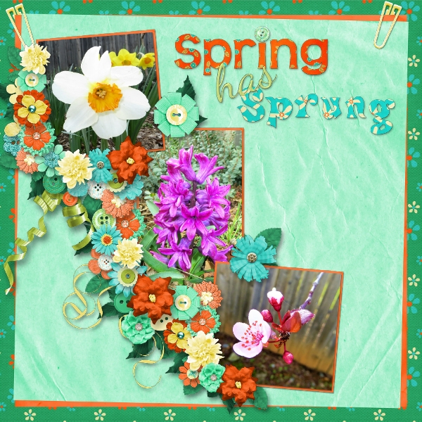 Feels Like Spring!