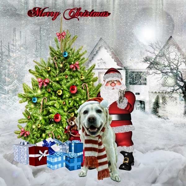 feerie noel
