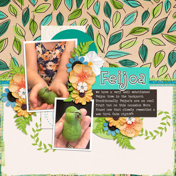 Feijoa