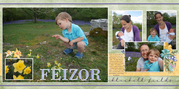 Feizor Bluebell Fields (Both Sides)