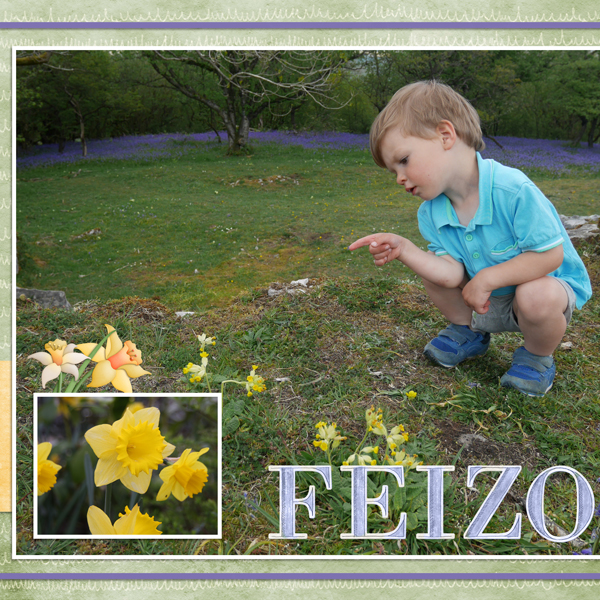 Feizor Bluebell Fields Side 1