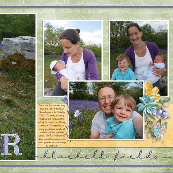 Feizor Bluebell Fields Side 2