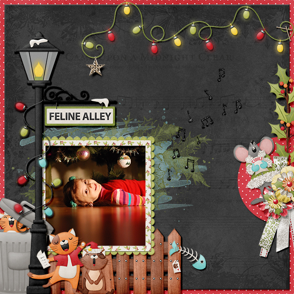 Feline Alley