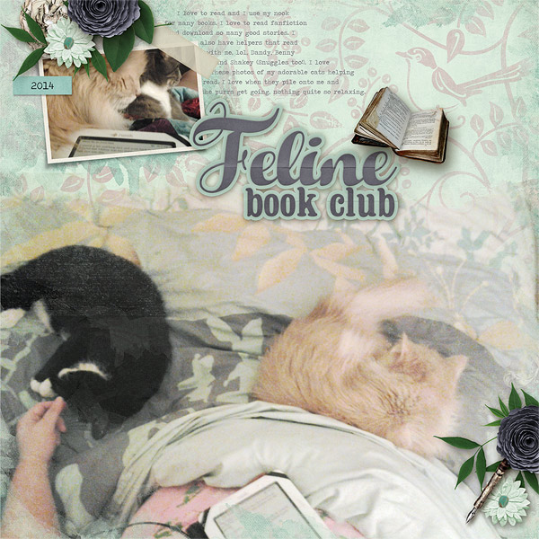 Feline Book Club