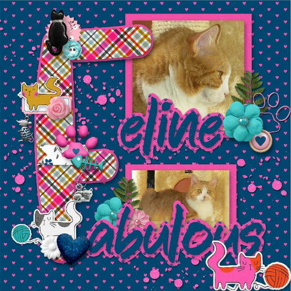 Feline Fabulous