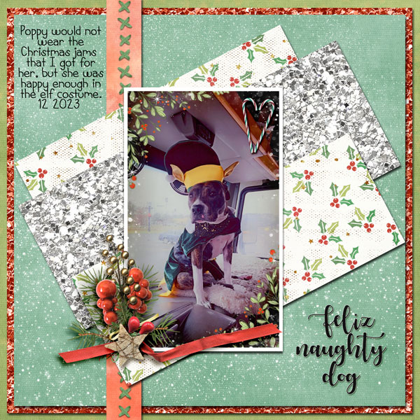 Feliz Naughty Dog