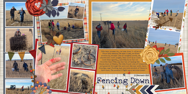 Fencing Down