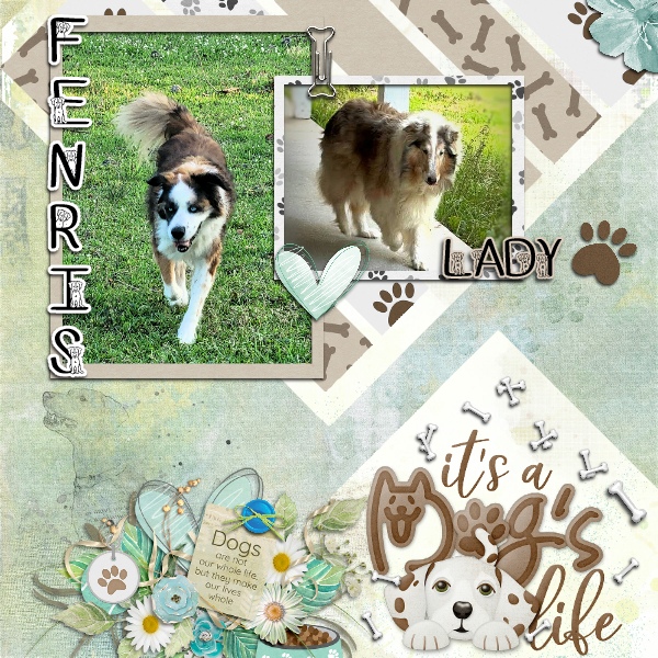 Fenris + Lady DYL 8