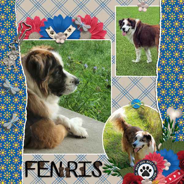 Fenris May